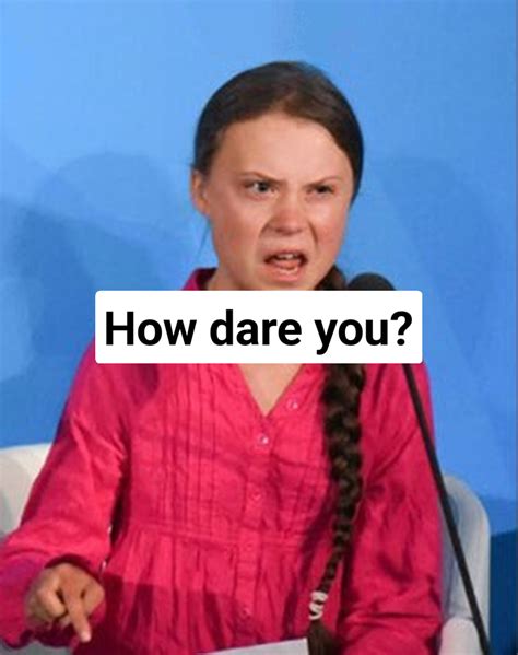 Greta Thunberg how dare you Meme Generator - Piñata Farms - The best ...