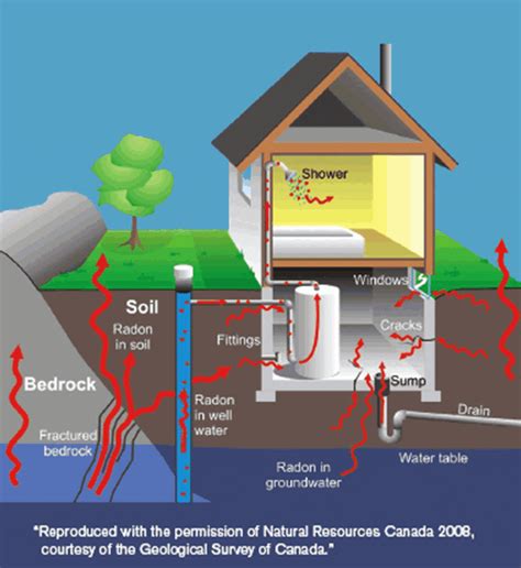 Understanding Radon: What You Need to Know - Inspection Works