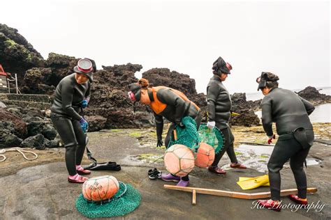 Haenyeo Jeju Women Divers: Where to See Them | Expatolife