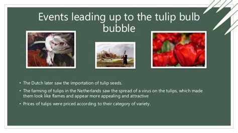 Tulipomania ( The Dutch Bubble)