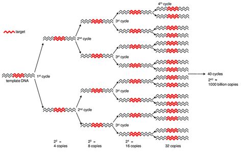 Monitoring of coronavirus-RNA (SARS-CoV2) in sewage: an early warning ...