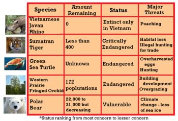 Endangered Animals Research: Lesson for Kids | Study.com