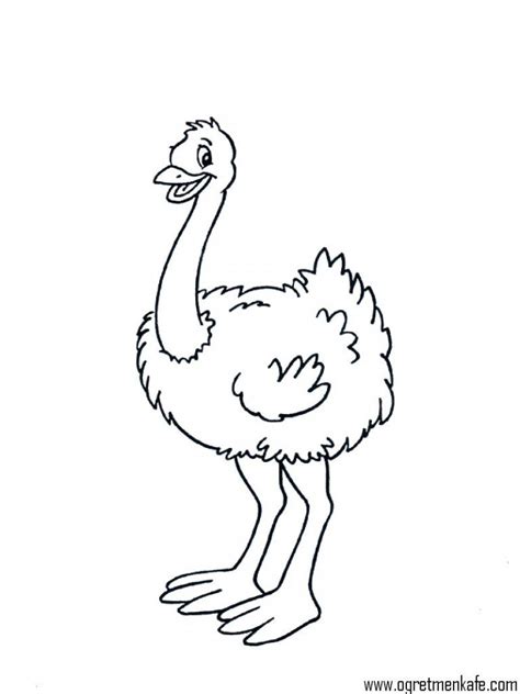 Ostrich Coloring Page