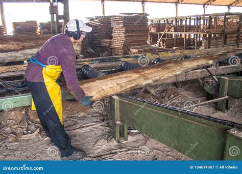 Workers in a sawmill editorial photography. Image of noise - 104614987