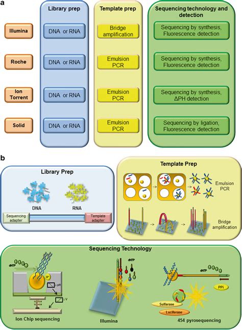 Principal NGS platforms from library preparation to sequencing ...