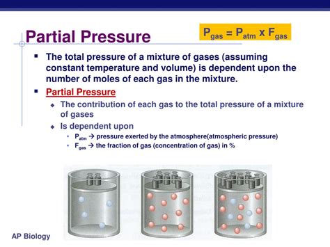 PPT - Steps of Respiration PowerPoint Presentation, free download - ID:3650279