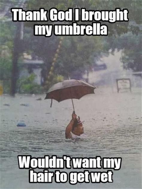 Rain Jokes Quotes With Animals. QuotesGram