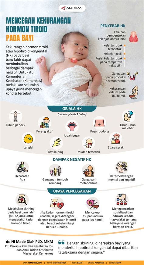 Mencegah kekurangan hormon tiroid pada bayi - Infografik ANTARA News