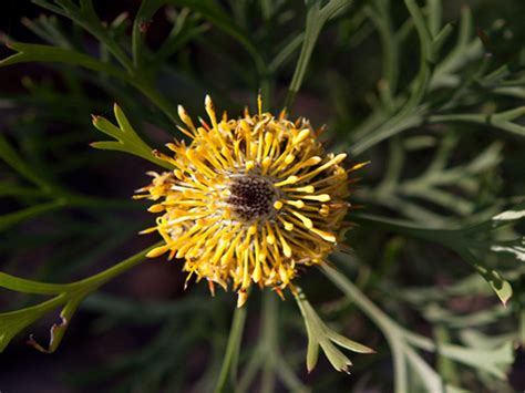 Dharawal National Park | Destination Wollongong