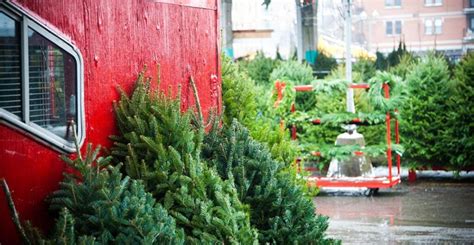 Christmas trees are now available at the Atwater Market in Montreal ...