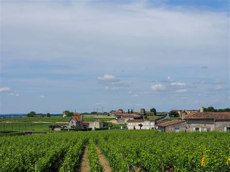 A visit to the amazing Bordeaux vineyards – Carrots and Tigers