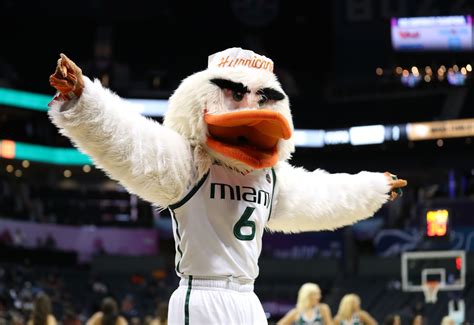 Miami Basketball: 3 reasons why Hurricanes will improve for 2020-21