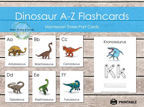 Dinosaur Cards Printable MONTESSORI MATERIALS PRINTABLE - Etsy Canada