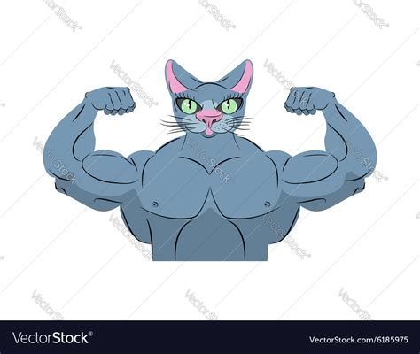 Strong cat power animal bodybuilder pet with big Vector Image