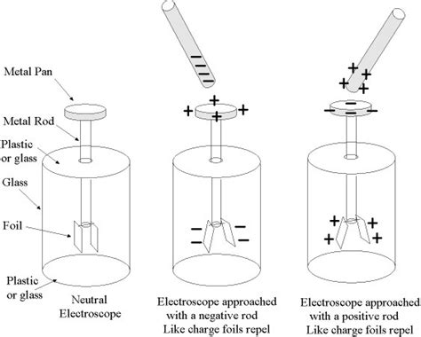 Draw a labeled diagram of a gold leaf electroscope. describe how will you use it to detect a ...