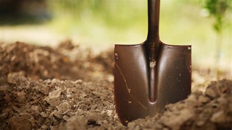 The Eight Types Of Shovels Everyone Should Know | Gizmodo Australia