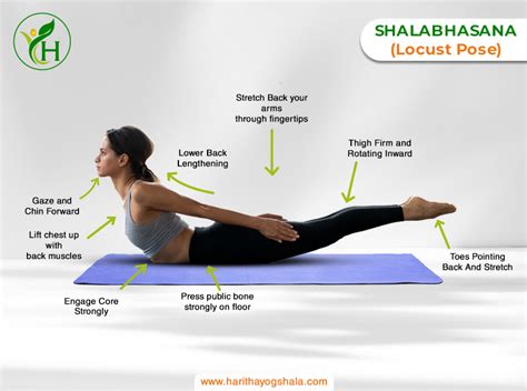 Shalabhasana (Locust Pose): Benefits, How To Do It And Steps