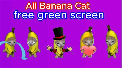Banana Cat And Whiny Situation (Remastered) - YouTube