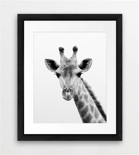 Giraffe Print Giraffe Wall Art Black and White Animals - Etsy