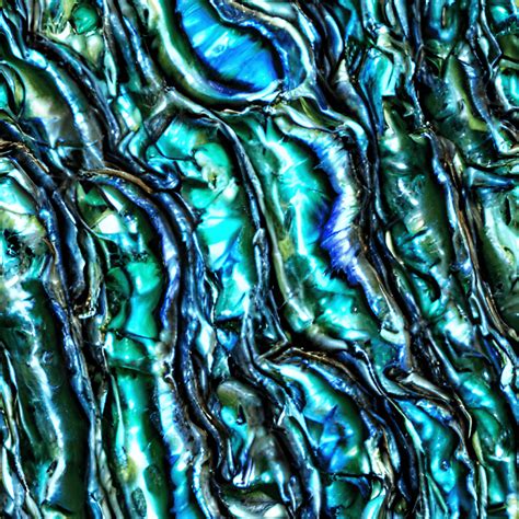 Abalone Shell Paua Shell Texture Pattern · Creative Fabrica