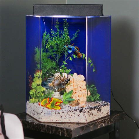 30 Gallon Hexagon Aquarium Diy Aquarium, Nature Aquarium, Aquarium Design, Aquarium Fish Tank ...