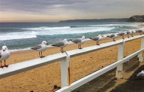 Psychodrama for Professional & Personal Development, Sat 24 & Sun 25 July - Newcastle DEFERRED ...