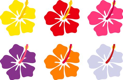 Free Cartoon Hawaiian Flower, Download Free Cartoon Hawaiian Flower png ...