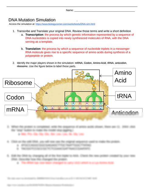 Unlocking Genetic Mysteries: Mutations Worksheets Answers Revealed