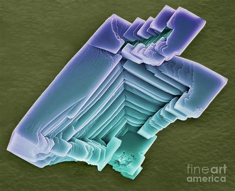 Calcium Carbonate Crystals Photograph by Steve Gschmeissner/science ...