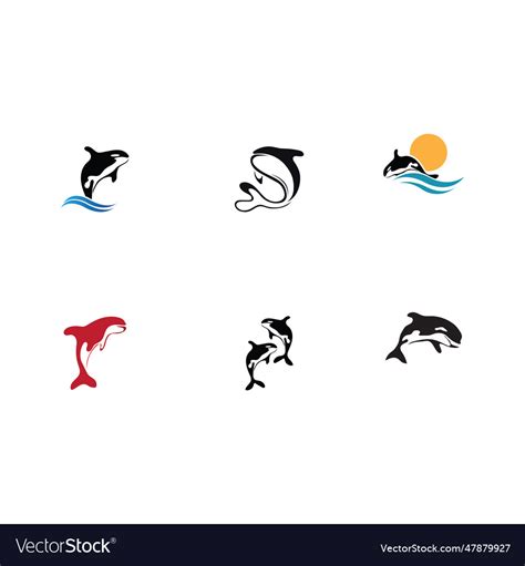 Orca logo on trendy design Royalty Free Vector Image