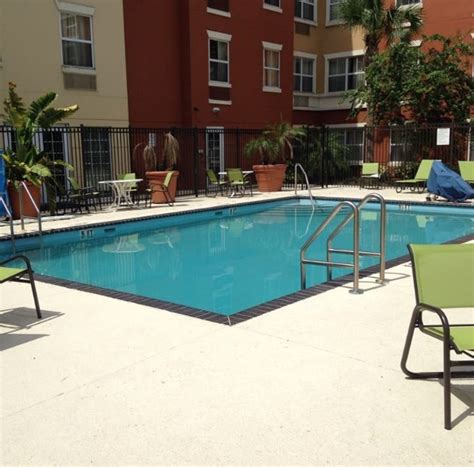 15 Pet Friendly Hotels in Orlando (2024 Update) - Catster