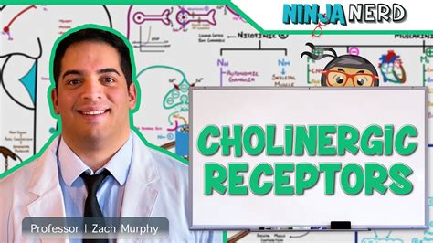 Neurology | Cholinergic Receptors - YouTube