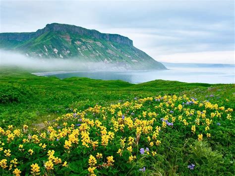 Kuril Islands: Russia and Japan Stretching northeast of Japan to the tip of Kamchatka ...