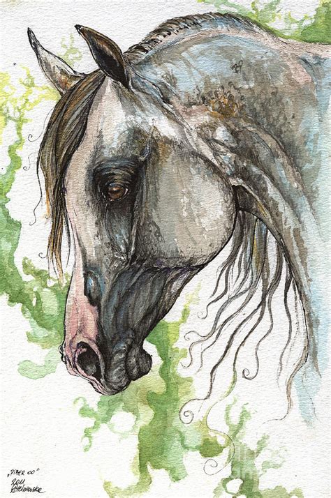 Piber Polish Arabian Horse Watercolor Painting 2 Painting by Angel ...