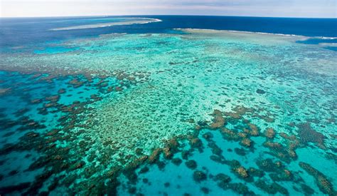 Great Barrier Reef - Picture Tour - Cairns Australia