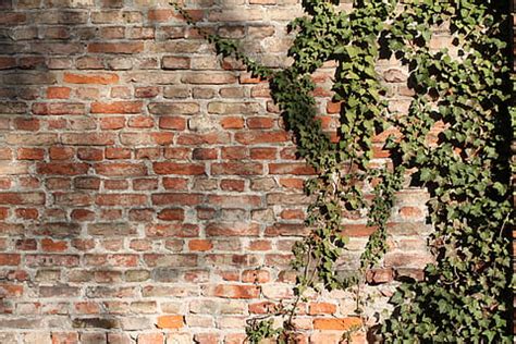 HD wallpaper: green brick wall, background, color, backgrounds, pattern ...