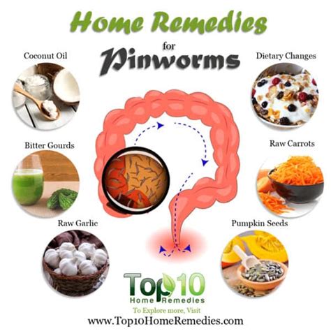 Home Remedies for Pinworms | Top 10 Home Remedies