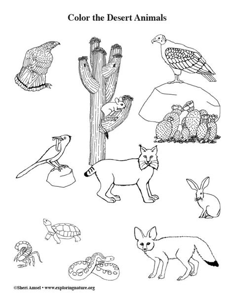 Desert Animals Coloring Page