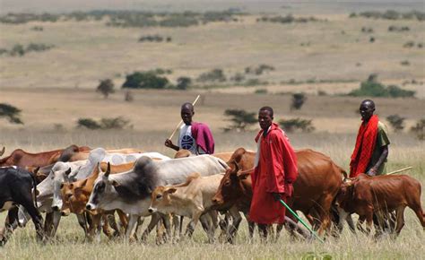 Africa's Nomadic Herders Help, Not Harm, Land and Planet - UN ...