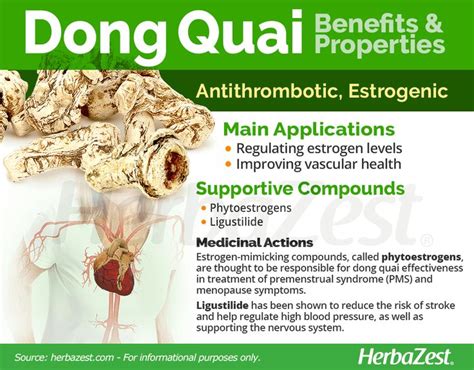 Dong Quai | HerbaZest | Herbs for health, Health and nutrition, Healthy ...