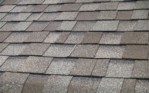 Composition Asphalt Shingles | Conlon Exteriors Inc