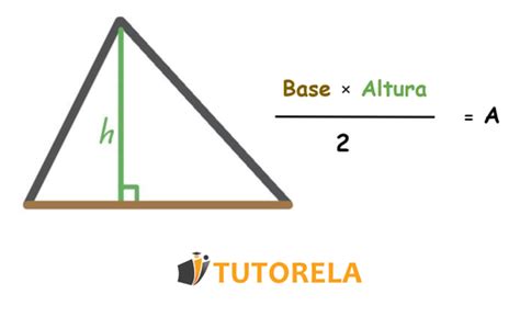 Baya Sollozos comunicación perimetro de un triangulo con base y altura Anécdota barricada ...