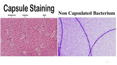 Capsule staining