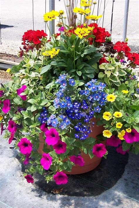 15 Most Beautiful Patio Flower Ideas You Will Love 19 | Container flowers, Container gardening ...