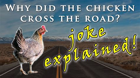 Why did the chicken cross the road? Joke explained in slow, easy ...