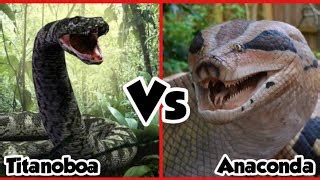 Titanoboa Vs Anaconda Size