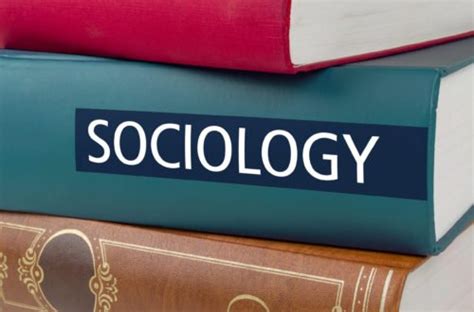 5 Careers with a Degree in Sociology - College Values Online