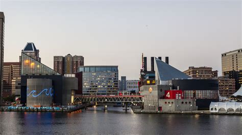 What Time Does The Baltimore Aquarium Open - Aquarium Views