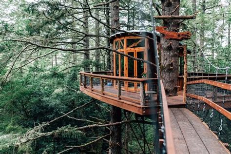 10 Beautiful California Treehouse Rentals For an Above Average Stay ...