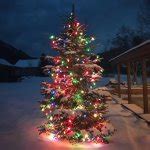 Brightly lit Christmas tree bulbs JPP Meme Generator - Imgflip